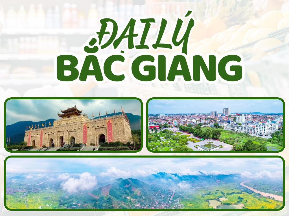 Đại Lý Bắc Giang