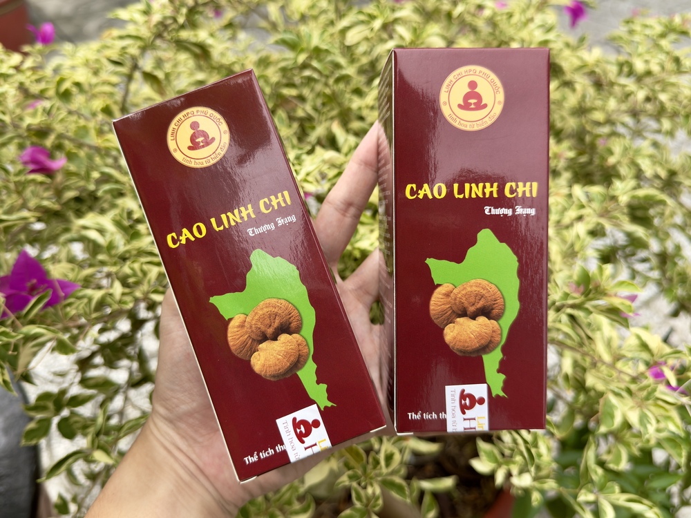 Giới thiệu tổng quát